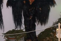 D S C F0009